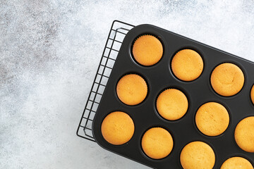 Top view of cooling freshly baked vanilla cupcakes on cupcake pan. Copy space