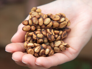 Raw luwak coffee beans before roasting. The most expensive coffee  beans in the world. - 424012943
