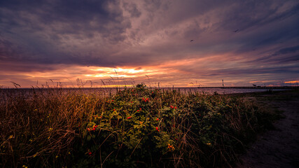 Koniec lata na Półwyspie Helskim. © Mariusz Szymanek