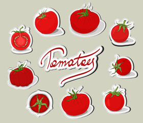 Red Tomatoes stickers set. Hand drawn Tomato ketchup badge label design set.Juicy fresh vegetables isolated. Organic food. Tomatoes symbols collection. Vector tomato icons. Healthy food.
