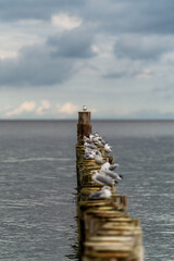 Koniec lata na P&oacute;łwyspie Helskim.