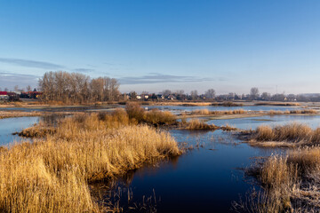 Wiosna w Dolinie Górnej Narwi, Podlasie, Polska