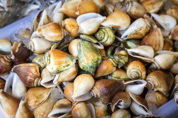 Bulk of fresh raw shellfish or clam (seafood) selling on ice stall in local fish market. Food close-up photo for texture and background.