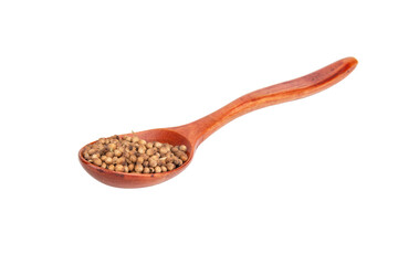 Dried cilantro spices in wooden spoon isolated on the white background