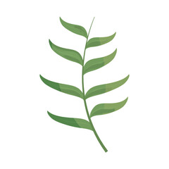 branch foliage greenery