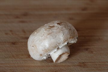 Fototapeta premium Ein einzelner Weißer Champignons (Zuchtchampignon - Lat.: Agaricus bisporus)