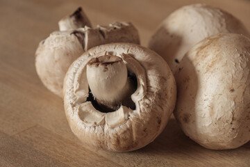 Details an Pilze: Weiße Champignons (Zuchtchampignon - Lat.: Agaricus bisporus)