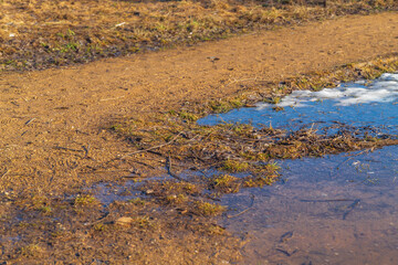 Sandy and rocky path in the city park close-up
