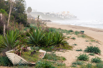 Sandy seashore during a storm with green vegetation and an old boat with flowers growing in it and blurred background with a coastal city