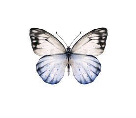 Watercolor colorful butterflies, isolated on white background. blue, yellow, pink and red butterfly spring illustration