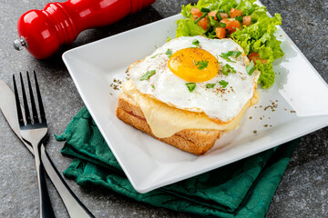 Breakfast. Hot sandwich. Croque madame sandwich. Traditional French cuisine. Copy space.