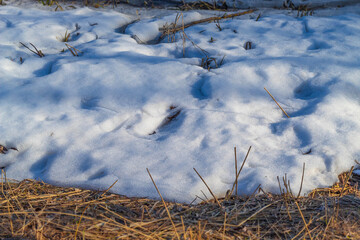 Natural snow in the city park at the end of March