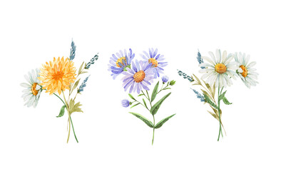 set with delicate bouquets of garden flowers illustration watercolor, hand painted on white background