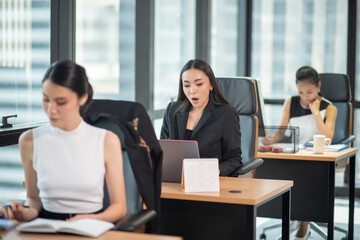 group of business woman working.