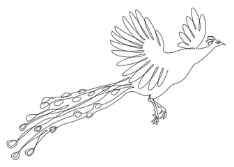 A beautiful peacock is flying. A bird with a lush tail in a modern one-line style. Solid line, outline for decor, posters, stickers, logo. Vector illustration.