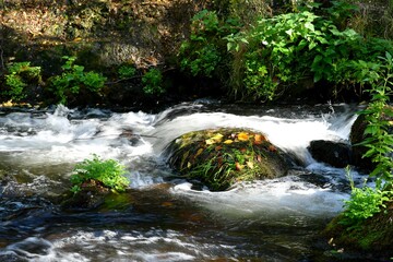 Torrent en montagne avec écume et eau tourbillonnante