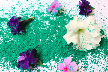 Holi celebration with non toxic, natural gulal and colorful spring flowers