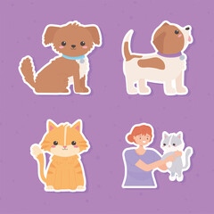 pets girl sticker