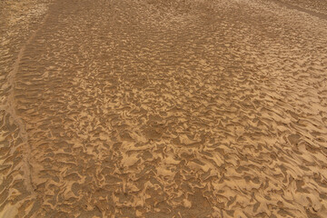 Rippled golden brown desert sand Texture background