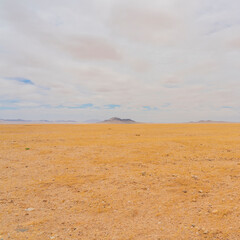 Desert landscape in the Namib Desert in Namibia during summer