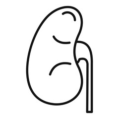 Anatomical kidney icon, outline style
