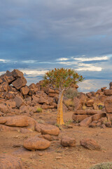 Massive Dolerite Rock Formations at Giant's Playground near Keetmanshoop, Namibia, vertical