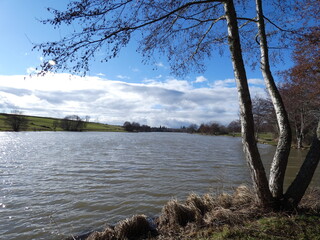 Lac 11