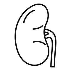 Healthy kidney icon, outline style