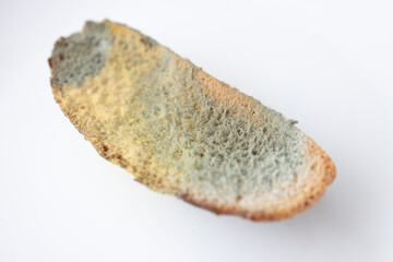 Piece of bread with green mold lying on white background closeup