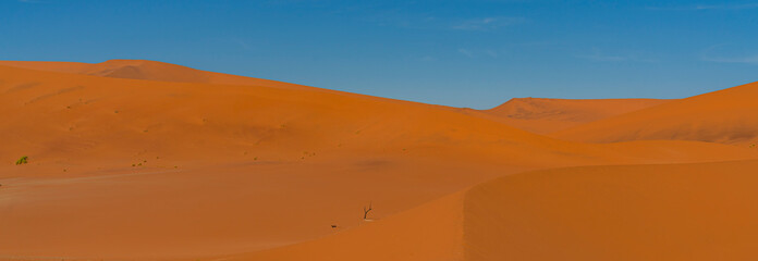 Fototapeta na wymiar On the way to Deadvlei Ssossusvlei surrounded by great dunes.