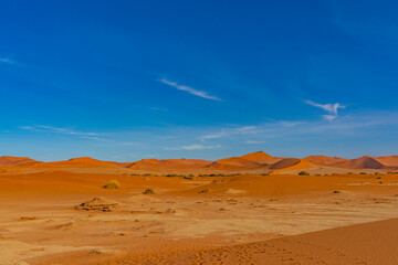 Fototapeta na wymiar On the way to Deadvlei Ssossusvlei surrounded by great dunes. Red sand. Panoramic view.