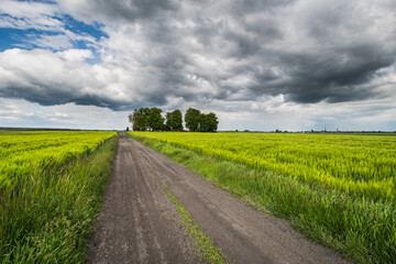 Dratów. Okolice cerkwi. Powiat Łęczyński © Tomasz