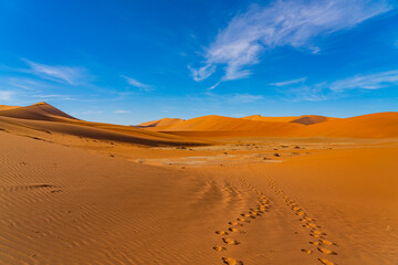Fototapeta na wymiar On the way to Deadvlei Ssossusvlei surrounded by great dunes. Red sand. Panoramic view.