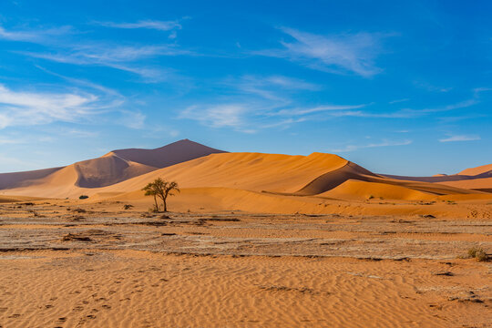 On the way to Deadvlei Ssossusvlei surrounded by great dunes. Red sand. Panoramic view. © ggfoto