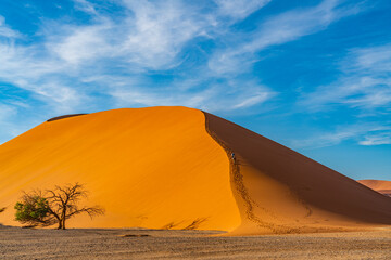 Fototapeta na wymiar Dunes 45 of Namib Desert at Sossusvlei in the morning time, Namibia.