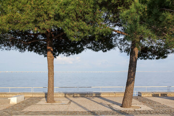 promenade with pine trees in the Oriente district of Lisbon, Portugal with the Vasco da Gama Bridge in the background