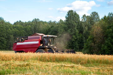 Harvester in a wheat field under the summer sun.