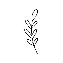 doodle with plants, foliage, grass, branch. Linear vector illustration. hand drawn style symbols and objects . simple, black drawing for sticker, decor, postcard, icon, coloring page, logo