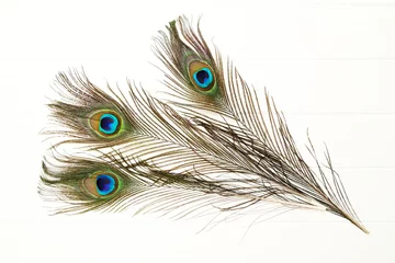 Keuken spatwand met foto Peacock feathers isolated on white background © 5second