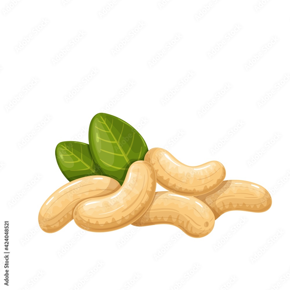 Sticker cashew nuts with leafs. - Stickers
