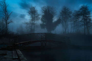 Dark scary park at night. Silhouettes of trees appear from the fog. Ghost bridge in the center of...