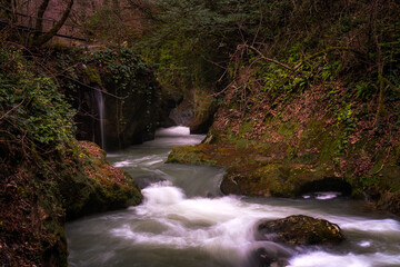 Flowing water among forest. Mountain river flowing betwing rocks