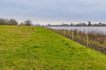 Dutch meadow with green grass and few bare trees beside the Maas river, a Belgian village on the other side of the river, cloudy day in Geulle in South Limburg, the Netherlands