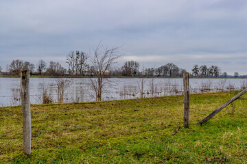 Obraz premium Bank of the river Maas with green grass, a fence with barbed wire with bare trees in the background, cloudy day in Geulle in South Limburg, the Netherlands
