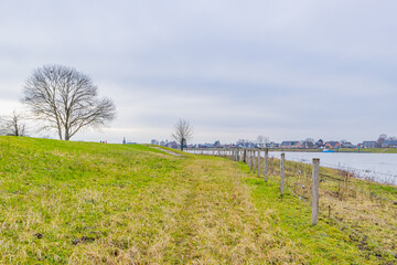 Fototapeta premium Dutch meadow with a bare tree on a small hill, a fence with barbed wire and the Maas river, cloudy day in Geulle in South Limburg, the Netherlands