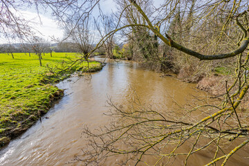 Branches of a bare tree with the river Geul among trees and green grass, sunny day with a blue sky in the municipality of Valkenburg aan de Geul in South of Limburg, Netherlands