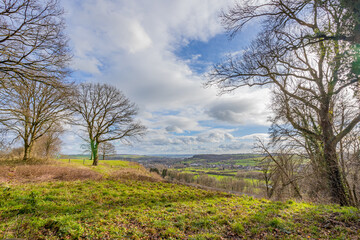 Hill with green grass and bare trees in the Dutch countryside with a small town in the background, sunny day with a blue sky and white clouds in Valkenburg aan de Geul in South Limburg, Netherlands