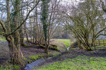 Narrow stream among wild plants, green grass and bare trees, cloudy day in the Dutch countryside at Stammenderbos in South Limburg, Netherlands