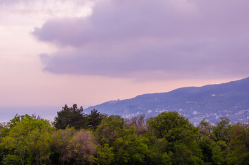 Fototapeta na wymiar beautiful spring landscape, purple sunset with green park