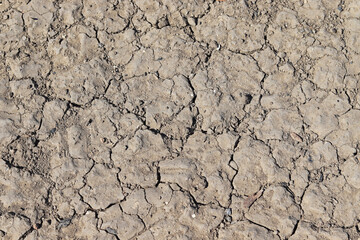 Dried and cracked ground, top view. Drought, no water, lack of moisture, hot climate. Dry surface. Soil in arid areas.
